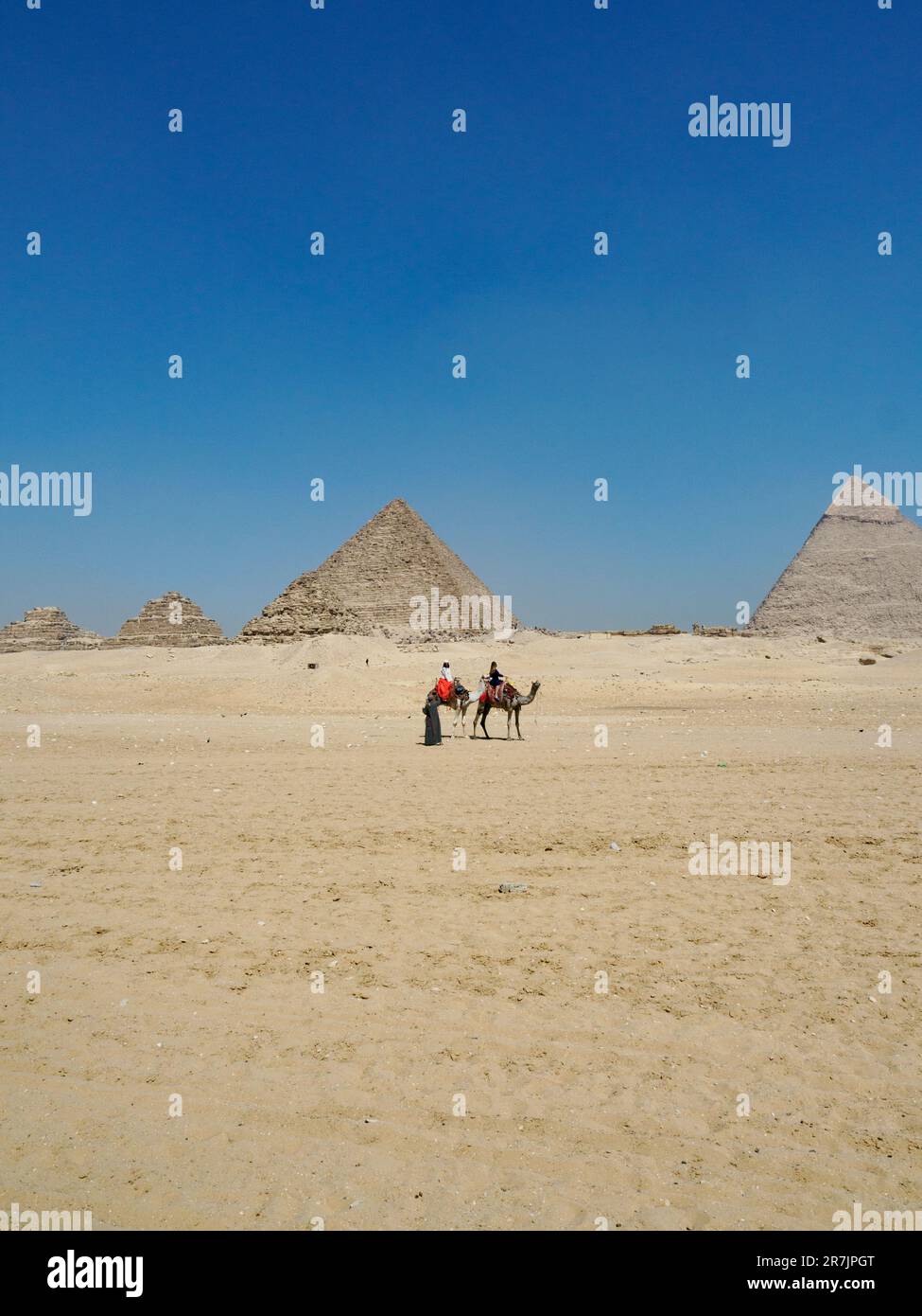 Kamelreitfrauen vor den großen Pyramiden von Gizeh Stockfoto