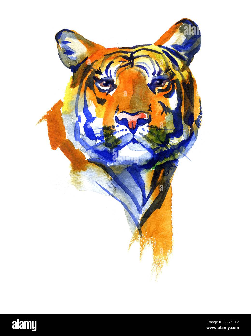 Aquarell Amurischer roter Tiger auf weißem Hintergrund. Stockfoto