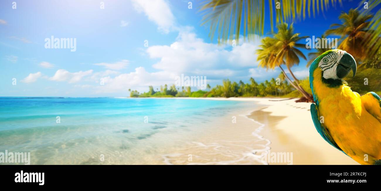 Sommerurlaub am tropischen Sandstrand; Bannerdesign mit Kopierbereich Stockfoto