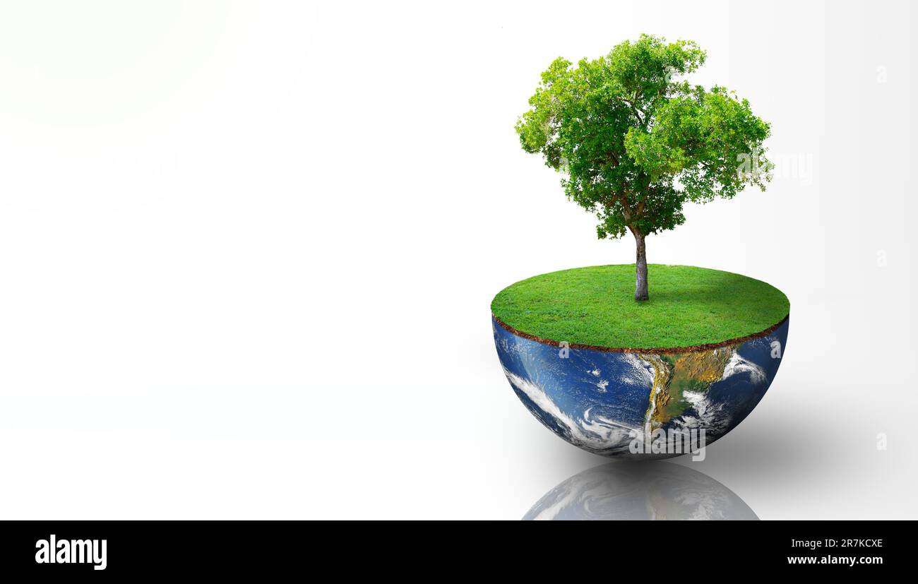 Pflanzen wachsen auf der halben Erdoberfläche mit Gras. Isoliert auf weißem Hintergrund. Weltökologie, Weltumwelttag, Welterdtag und Sparen Stockfoto