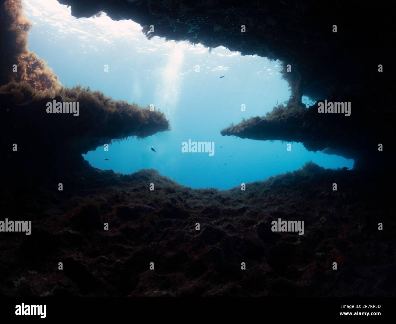 Teil der Felsformationen in den Santa Maria Caves auf Comino, Malta Stockfoto