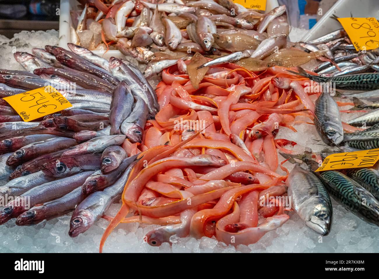 Verschiedene Arten von kleinen Fischen zum Verkauf auf einem Markt Stockfoto