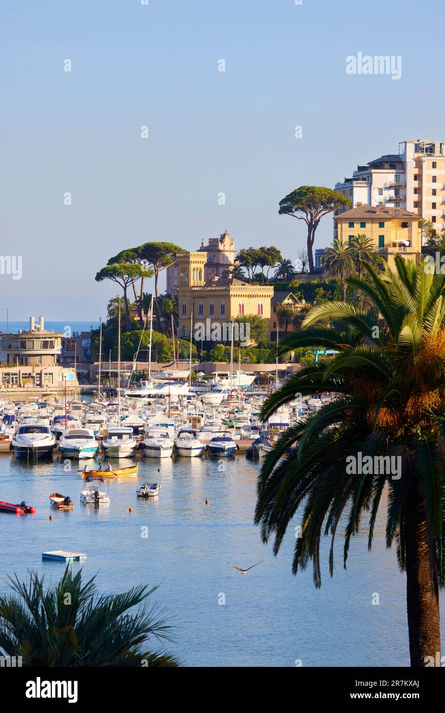 Blick über Rapallo Bay zum Yachthafen, Rapallo, Ligurien, Italien Stockfoto