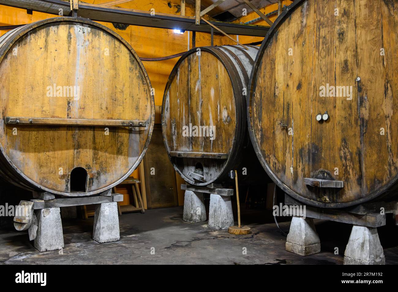 PH Messgerät Für Lebensmittel - IP67 Wasserdicht Mit Temperaturmessung