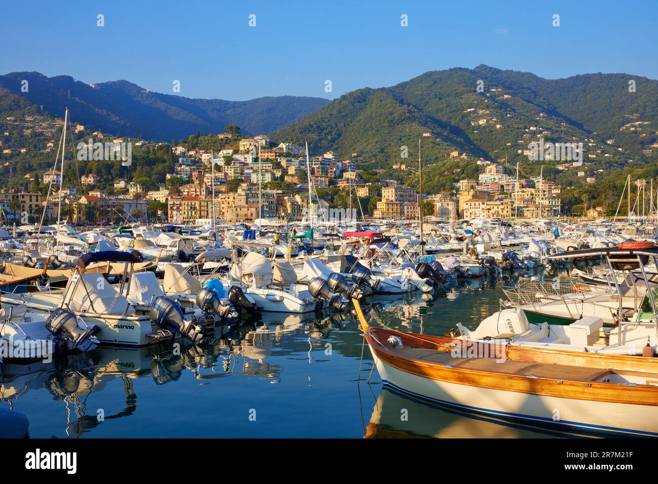 Boote vor Anker in Rapallo Marina, Rapallo, Ligurien, Italien Stockfoto
