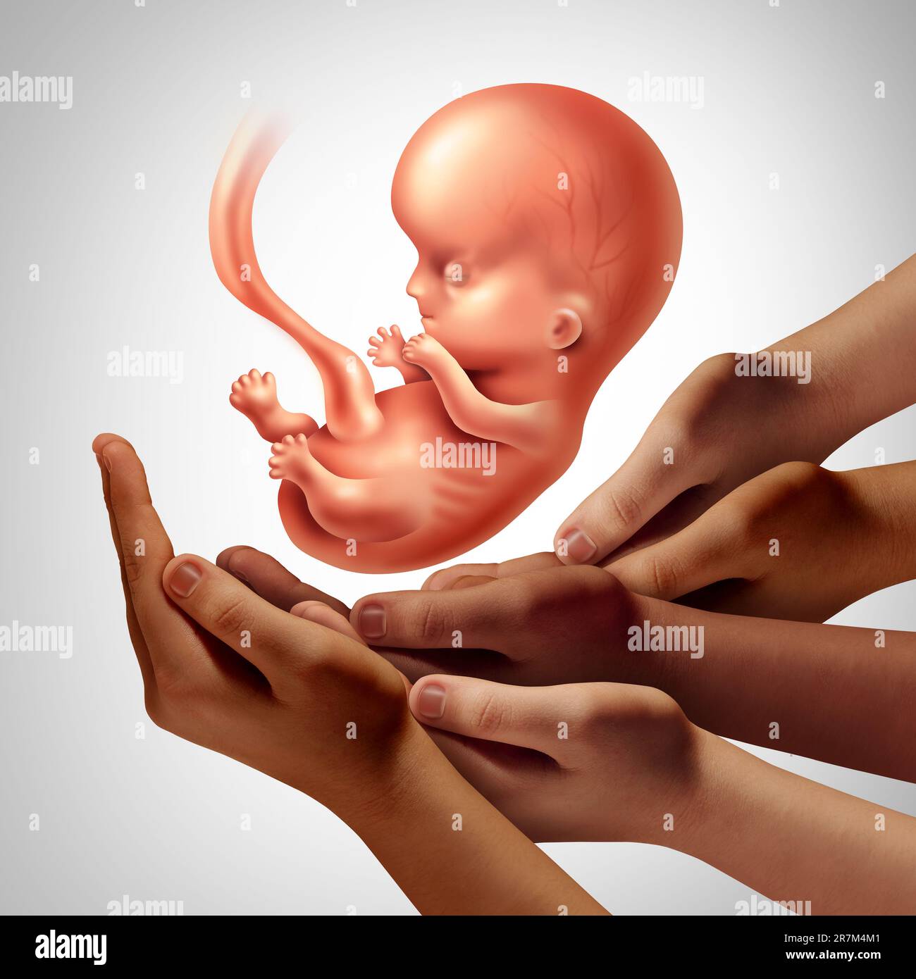 Synthetische Embryonen und Modellembryonen als Forscherteam, das einen menschlichen Fötus als Symbol für Genetik und Geburtshilfe oder Frühschwangerschaft hält Stockfoto