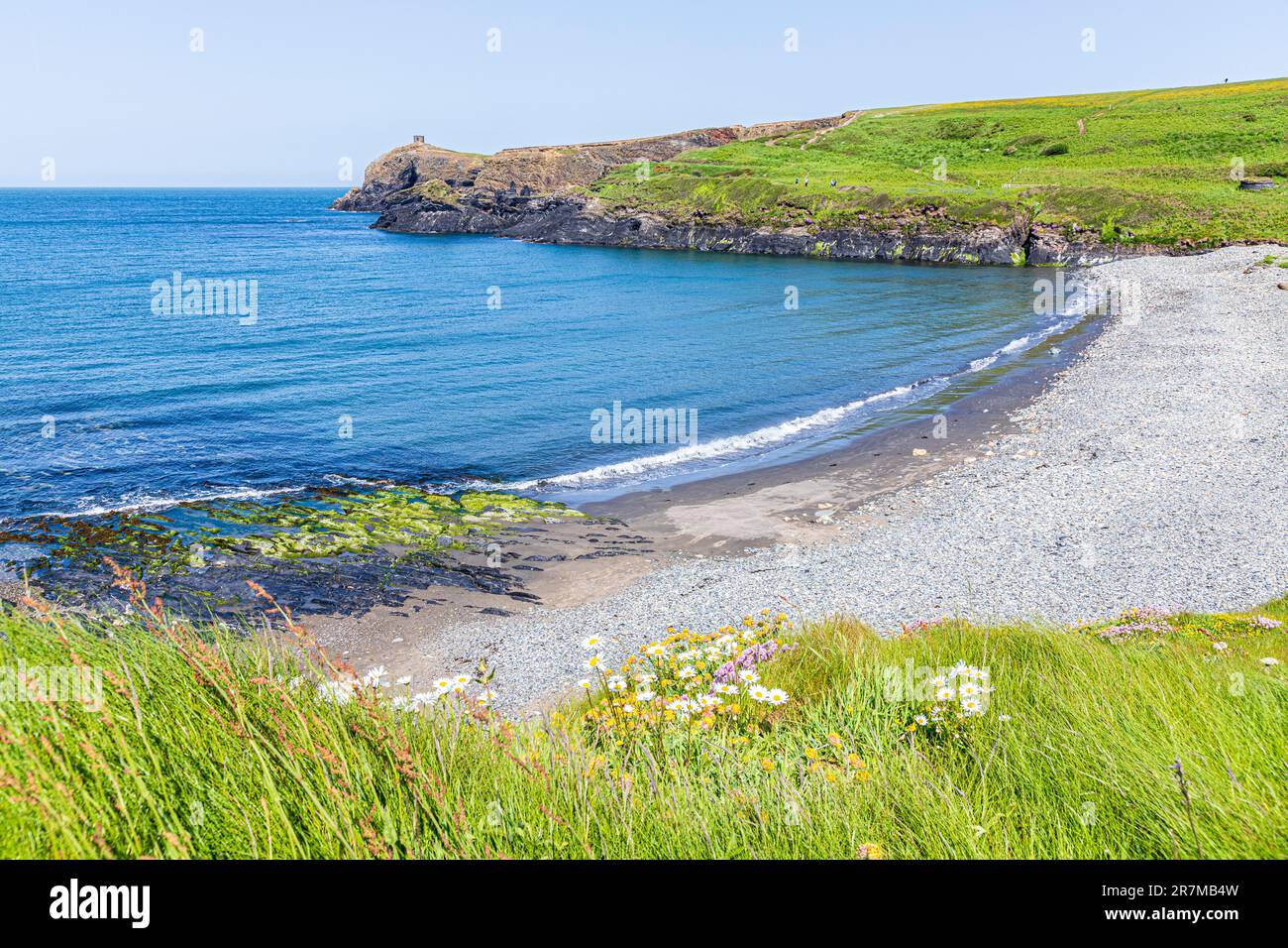 Der Strand an der Abereiddy Bay auf der Halbinsel St. David im Pembrokeshire Coast National Park, Wales, Großbritannien Stockfoto