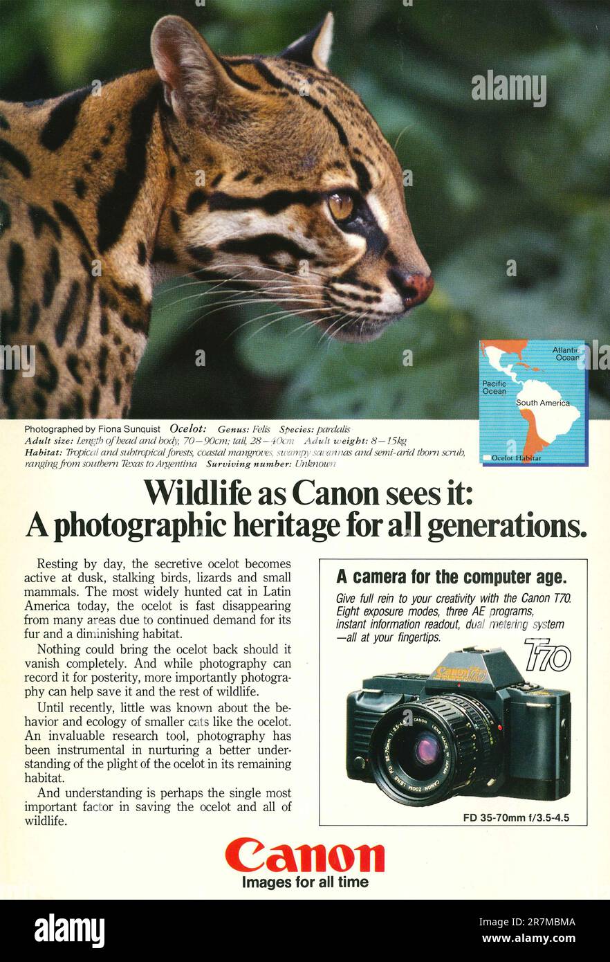 Canon T70 Kamera mit 35-70-mm-Zoomobjektiv Werbeanzeige in NatGeo Magazin, 1986. Wildtiere, wie Canon es sieht Stockfoto