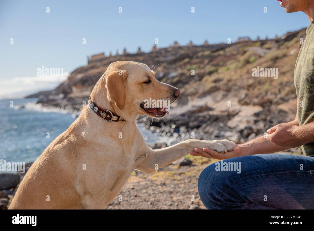 Ein Hundetrainer lässt den Hund beim Training am Strand seine Pfote auf sich ziehen Stockfoto