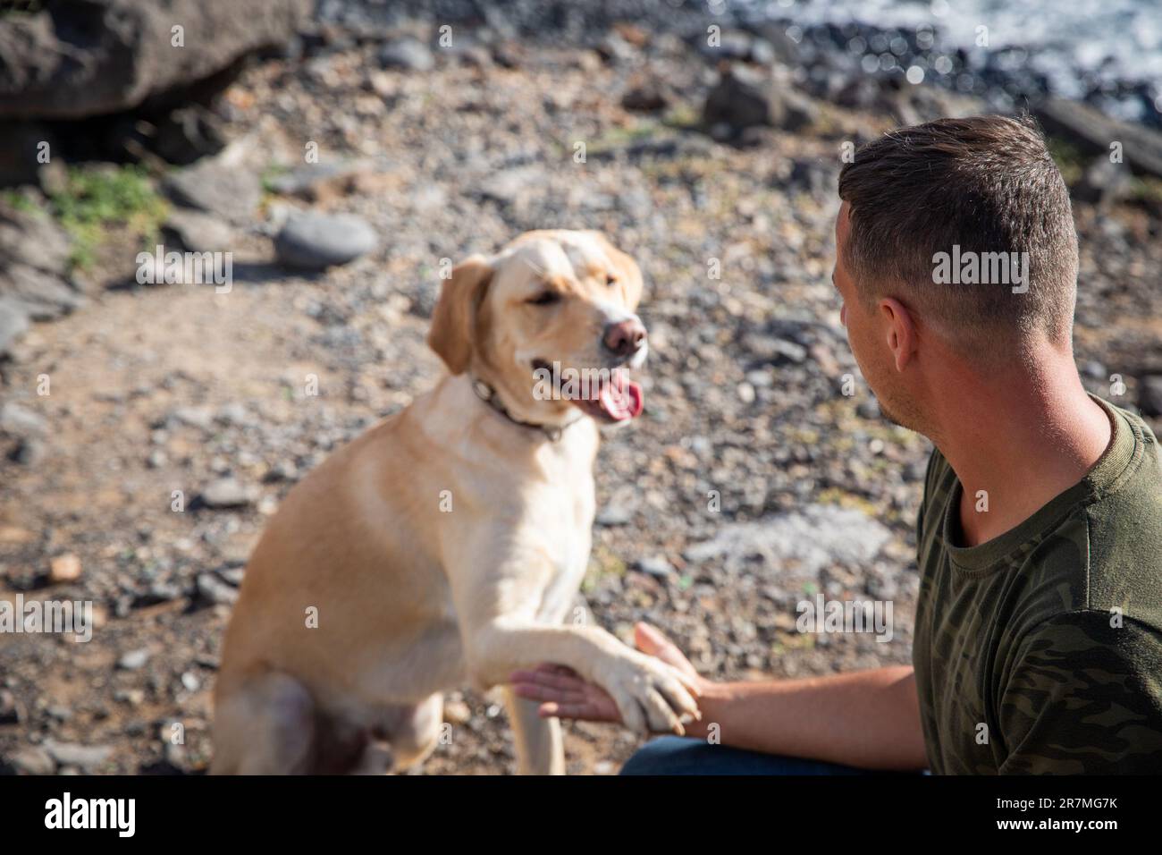 Ein Hund und sein Besitzer schauen sich an, der Trainer verbindet die Pfote des Hundes mit seiner Hand Stockfoto