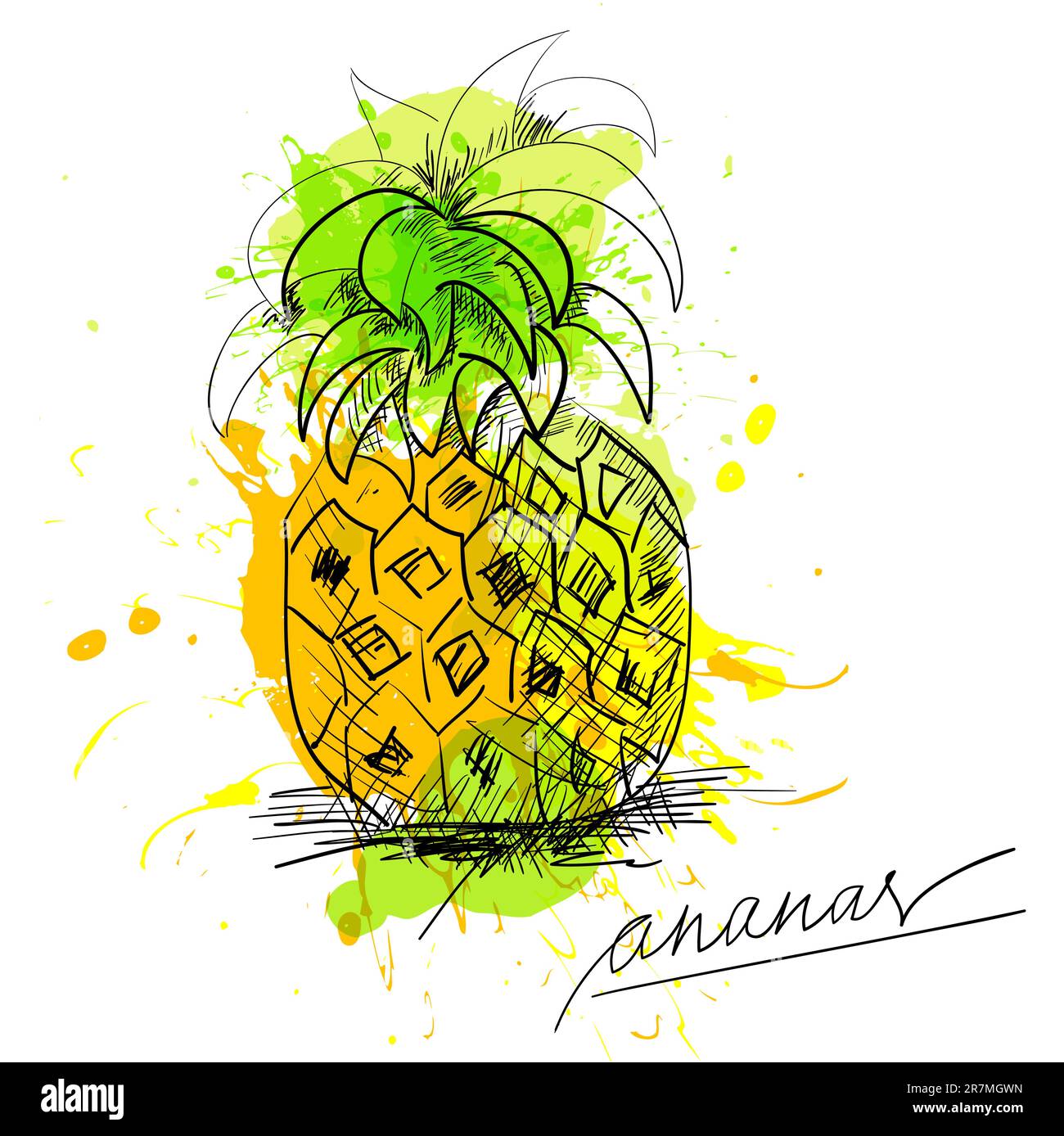 Skizze von Ananas Stock Vektor