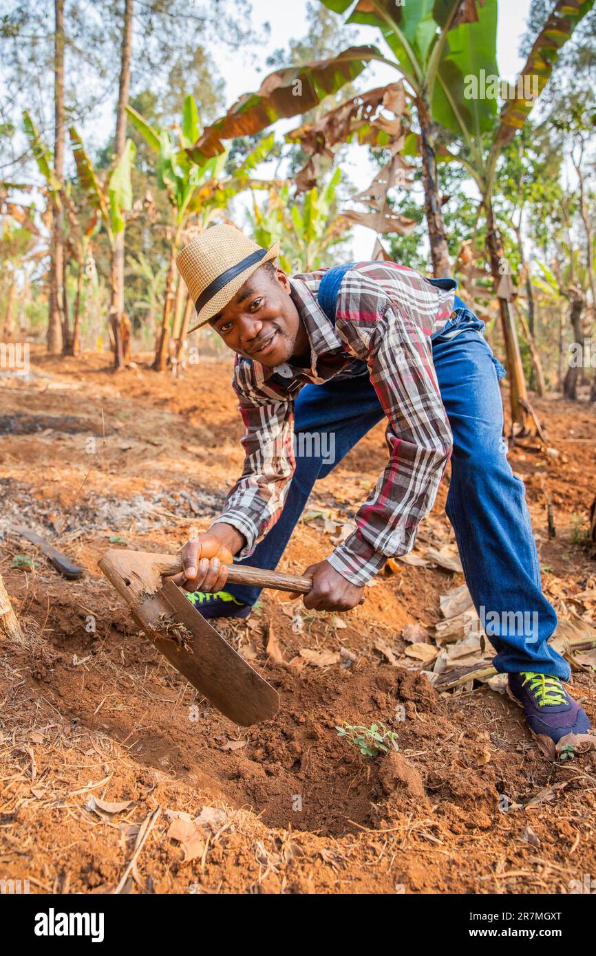 Ein Bauer mit einer Hacke in der Hand bearbeitet das Land in Afrika, vertikales Foto Stockfoto