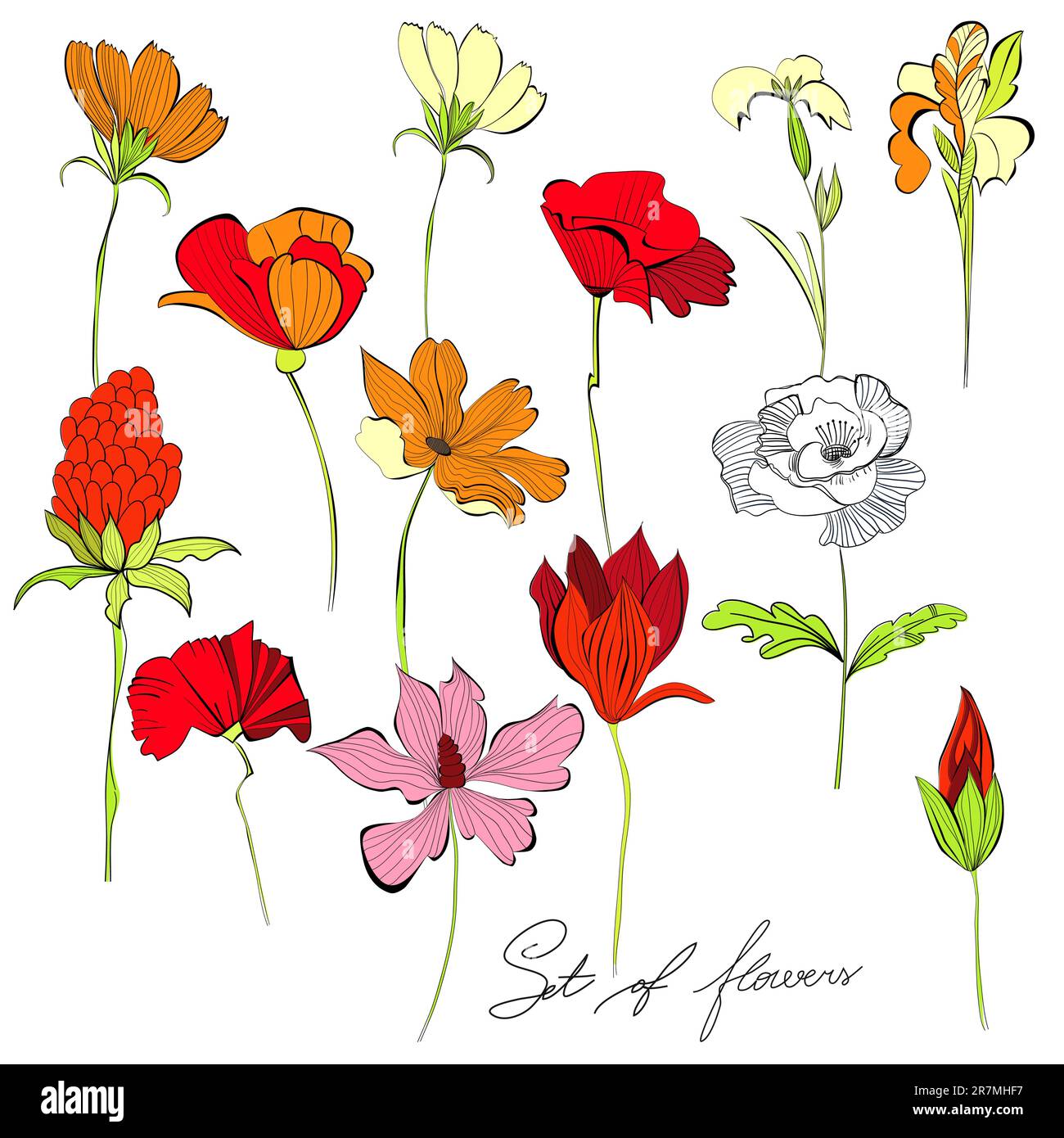 Reihe von schönen Blumen Stock Vektor