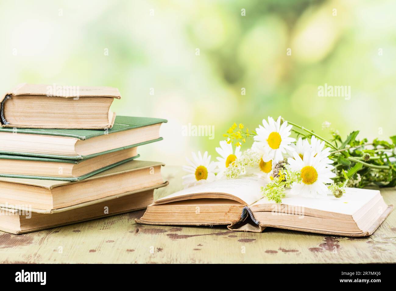 Willkommen, Bücherliebhaber! Tauche ein in die Welt der "Schönen Bilder von Büchern"