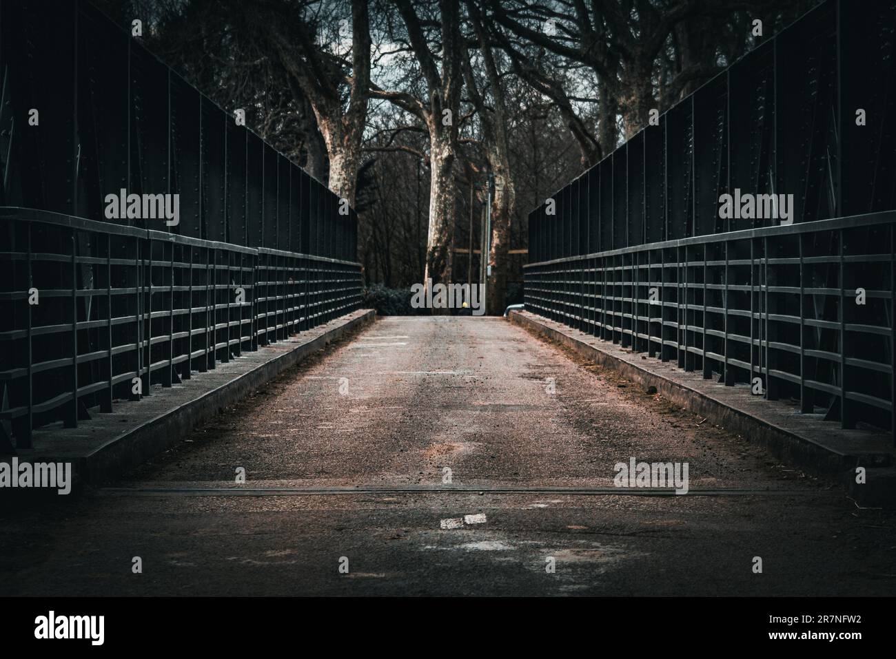 Dieses Stockfoto zeigt eine malerische Brücke in einem Park bei Nacht Stockfoto
