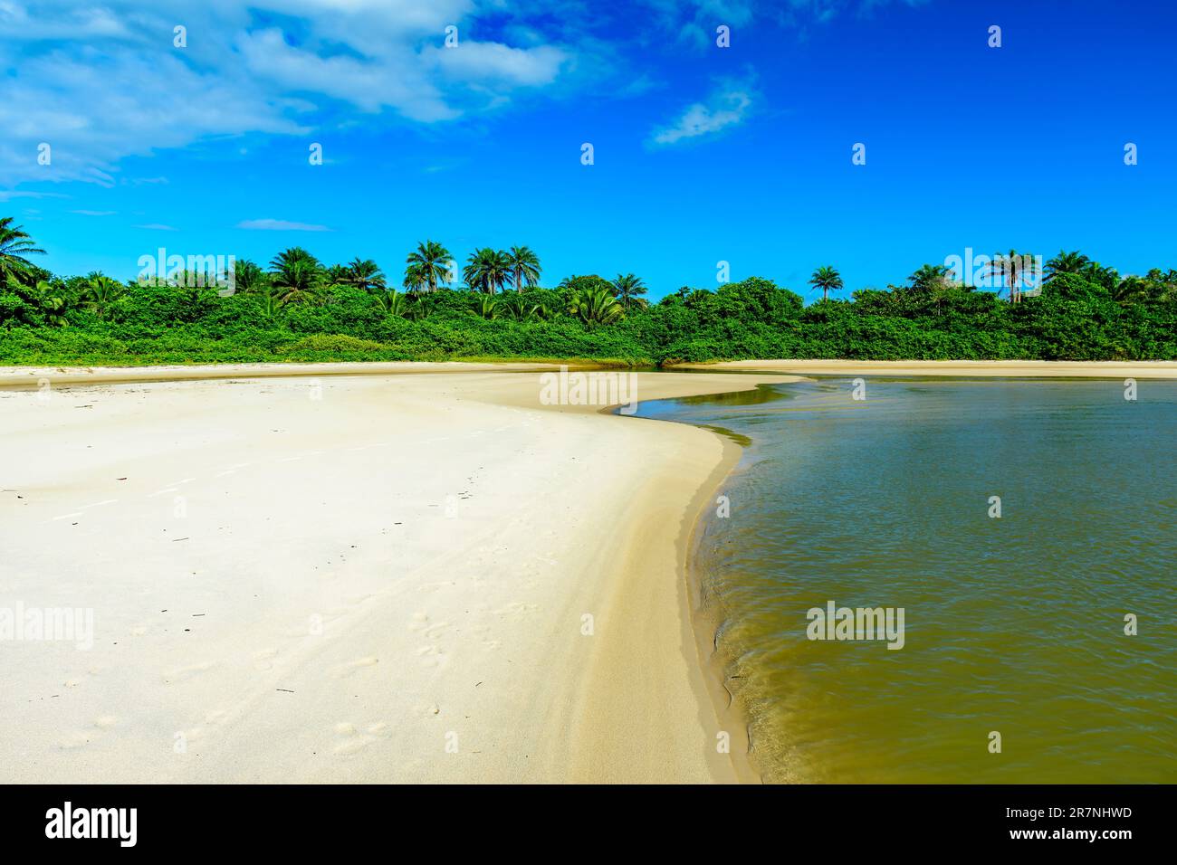 Der Fluss kommt aus der Mitte der einheimischen Vegetation und geht über den Sand am Sargi Beach in Serra Grande, Bahia in Richtung Meer Stockfoto