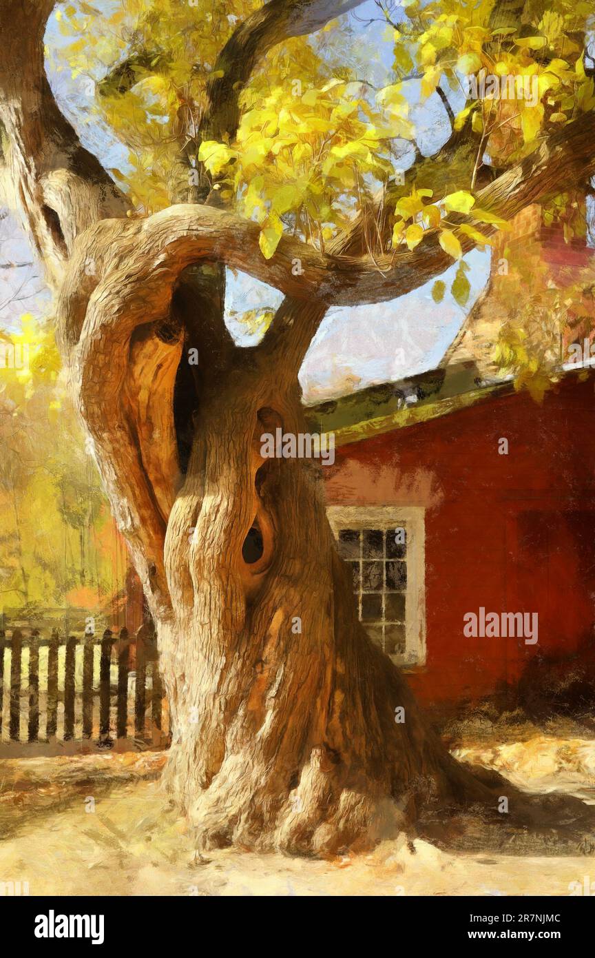 Ein alter Baum in der Nähe von Daniel Arnold Haus. Carriage Hill Metro Park, Huber Heights, Dayton, Ohio, USA. Das Foto wurde mit einem digitalen Computerpai nachbearbeitet Stockfoto