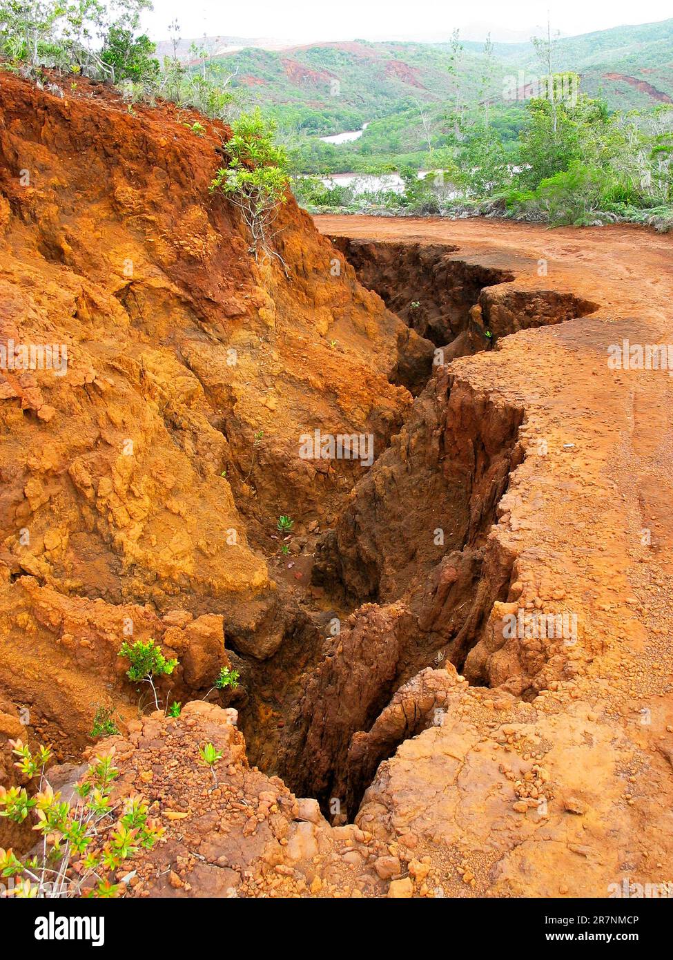 Eiserner roter Boden, Neukaledonien, Melanesien. Stockfoto