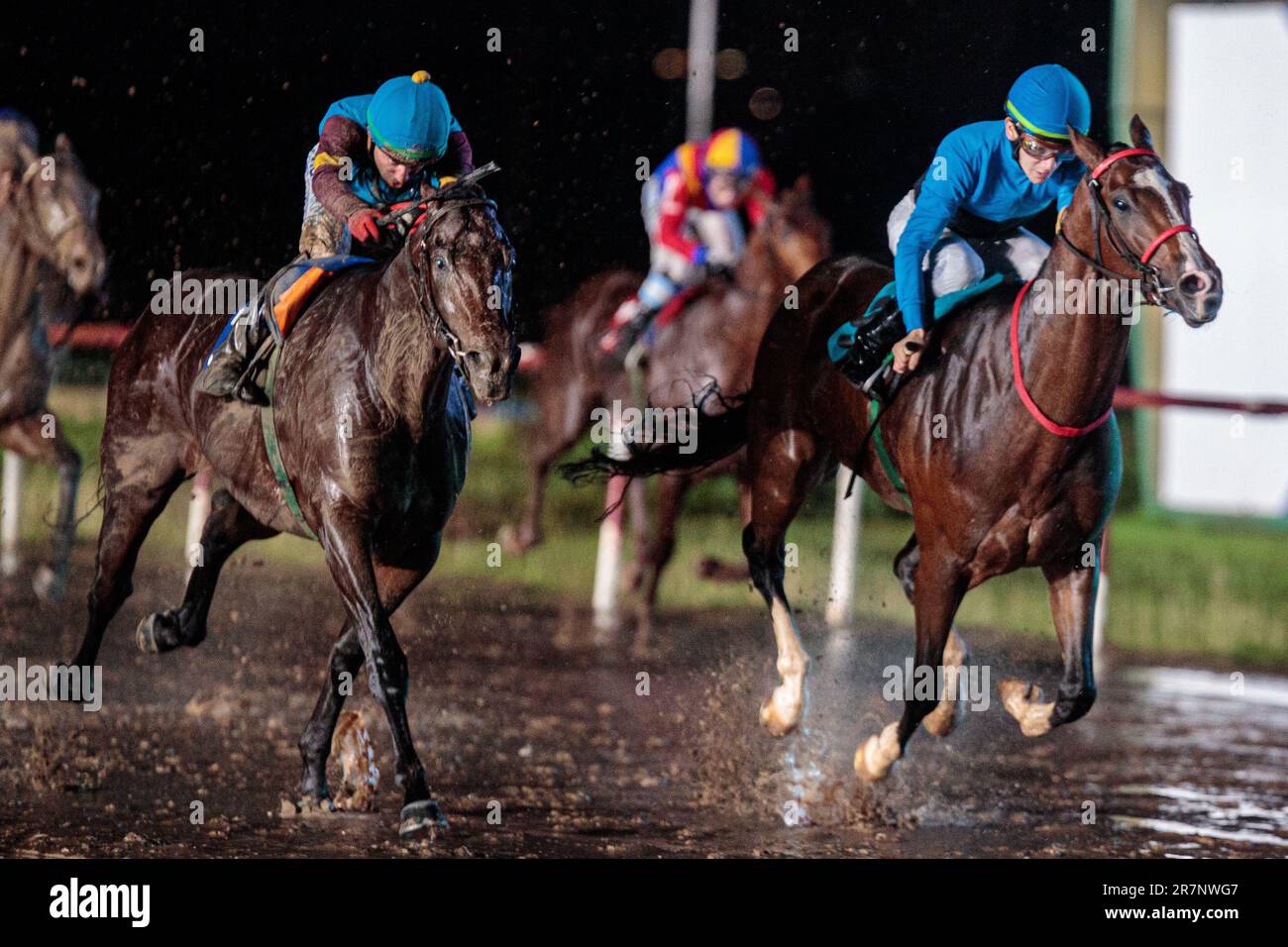 Jockeys und Pferde im Rennen Stockfoto