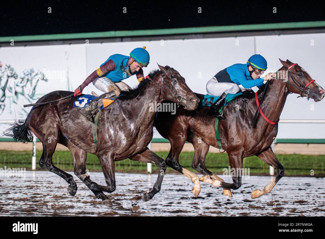 Jockeys und Pferde im Rennen Stockfoto