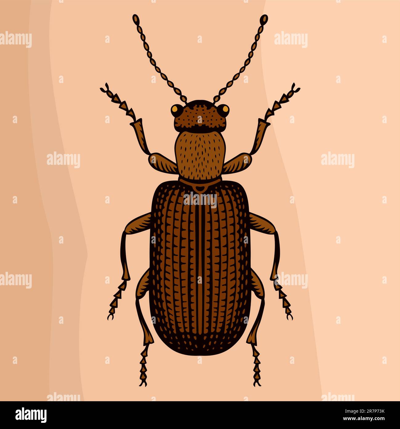 Käfer auf hellbraunem Hintergrund Stock Vektor