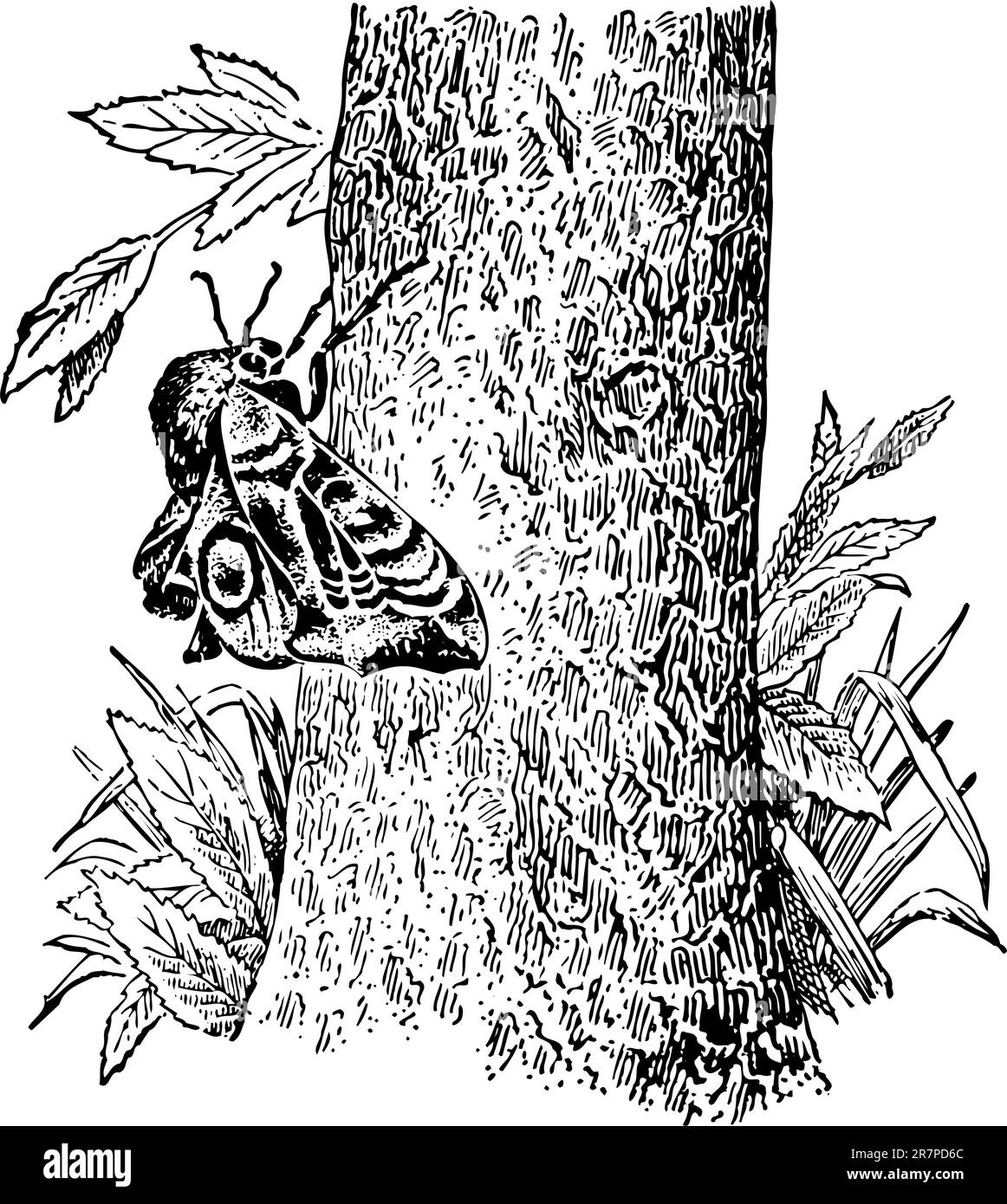 Schmetterling auf Baumkörper Stock Vektor