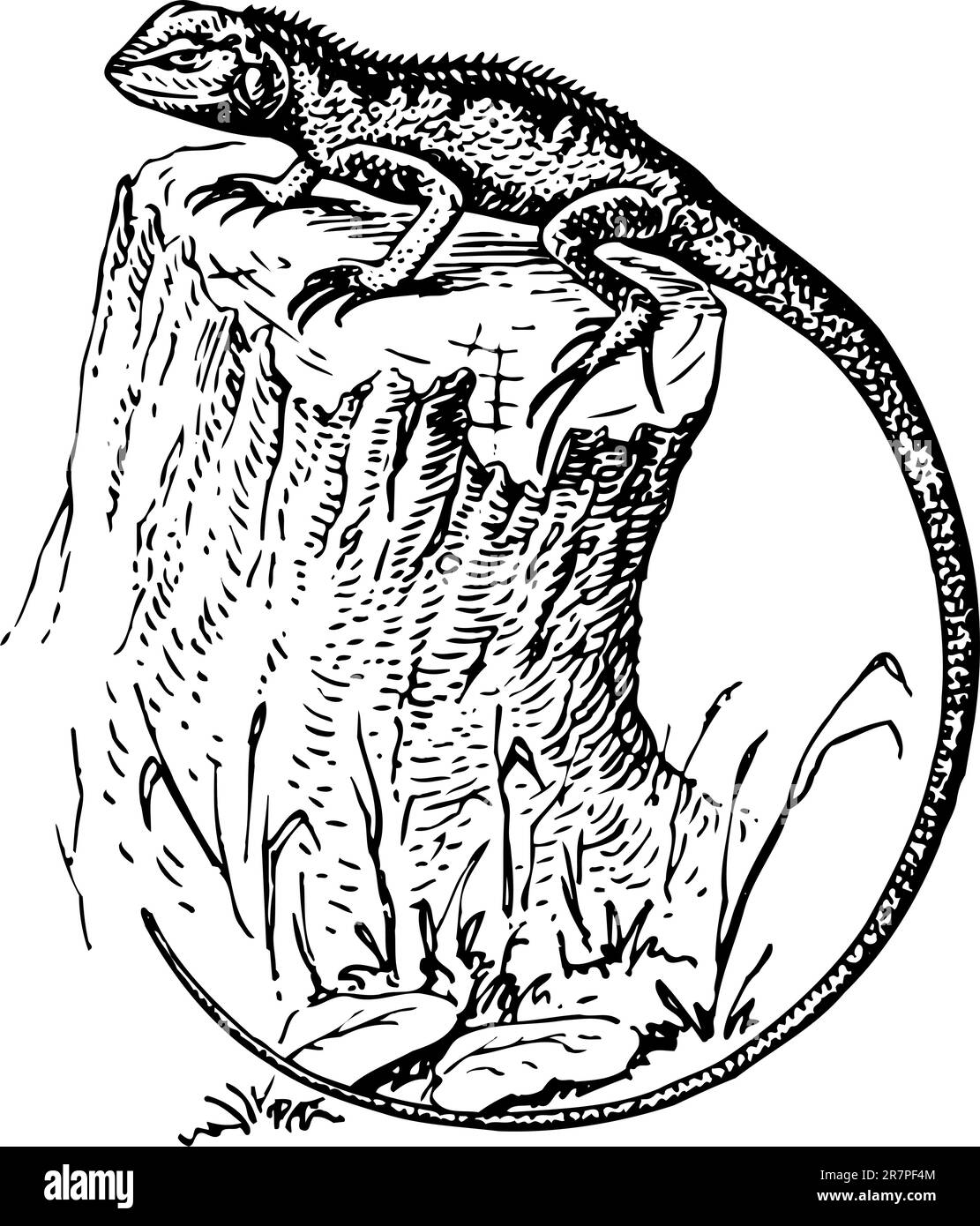 Eidechse am Baumstumpf Stock Vektor