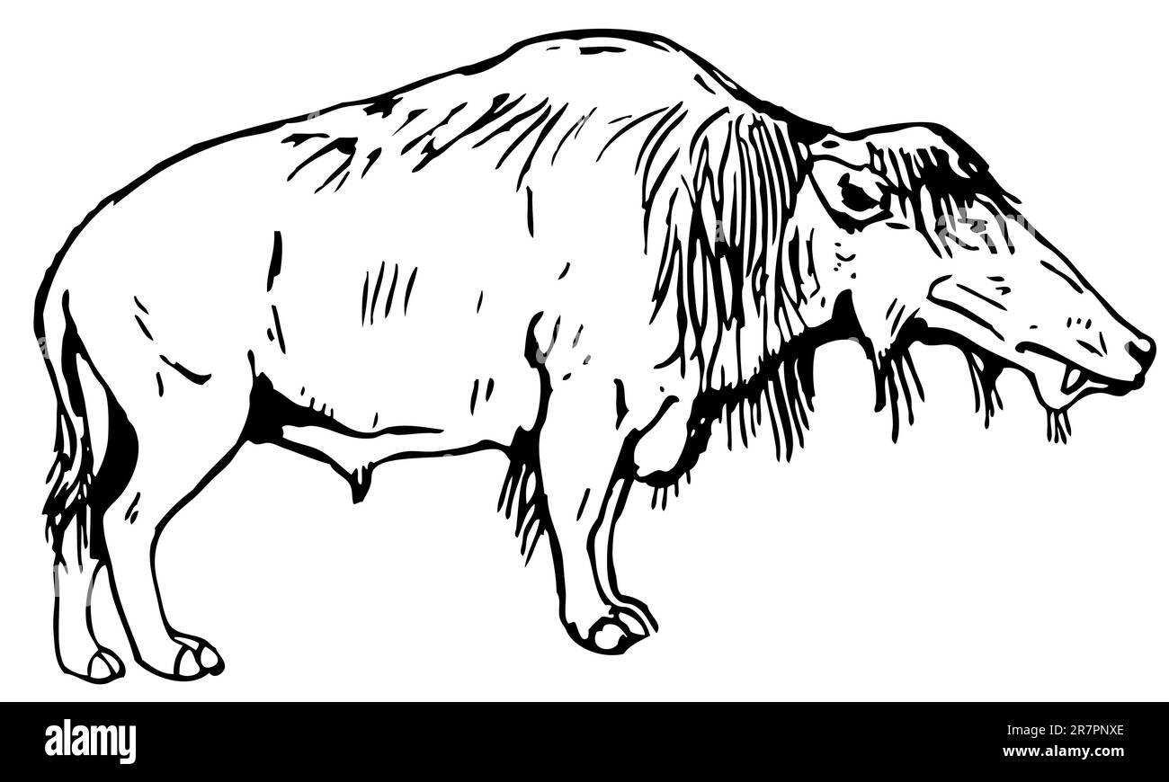 Prähistorisches Tier isoliert auf weiß Stock Vektor