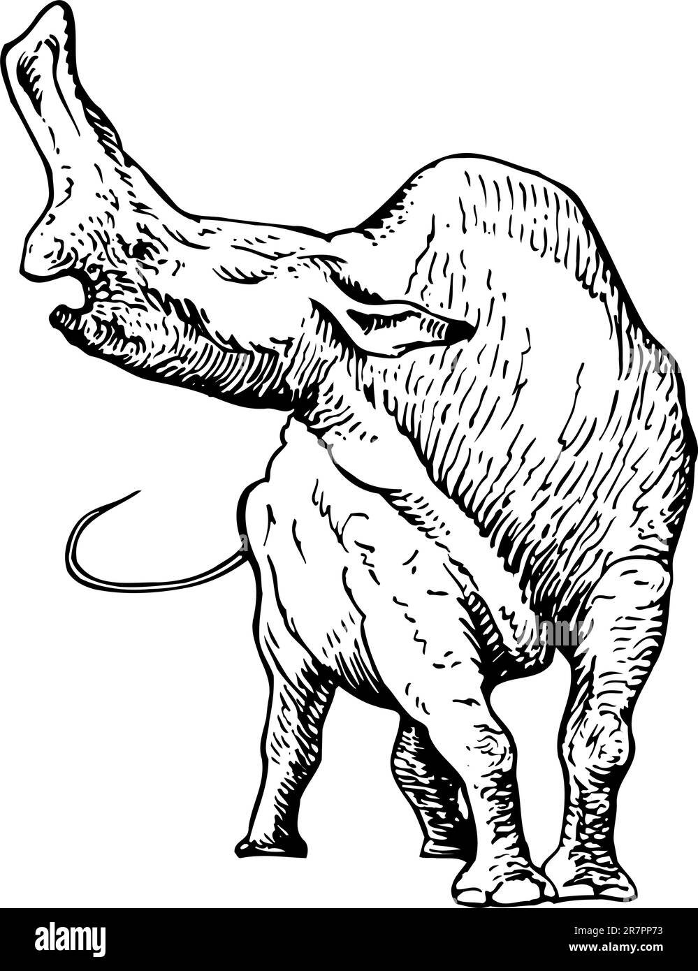 Donner Beast (Embolotherium) isoliert auf Weiß Stock Vektor