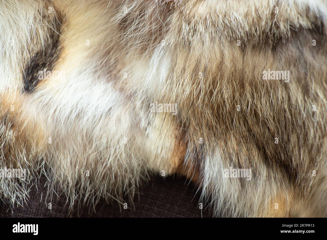 Hintergrund eines fellbraunen Pelzmantel-Nahaufnahme Stockfoto