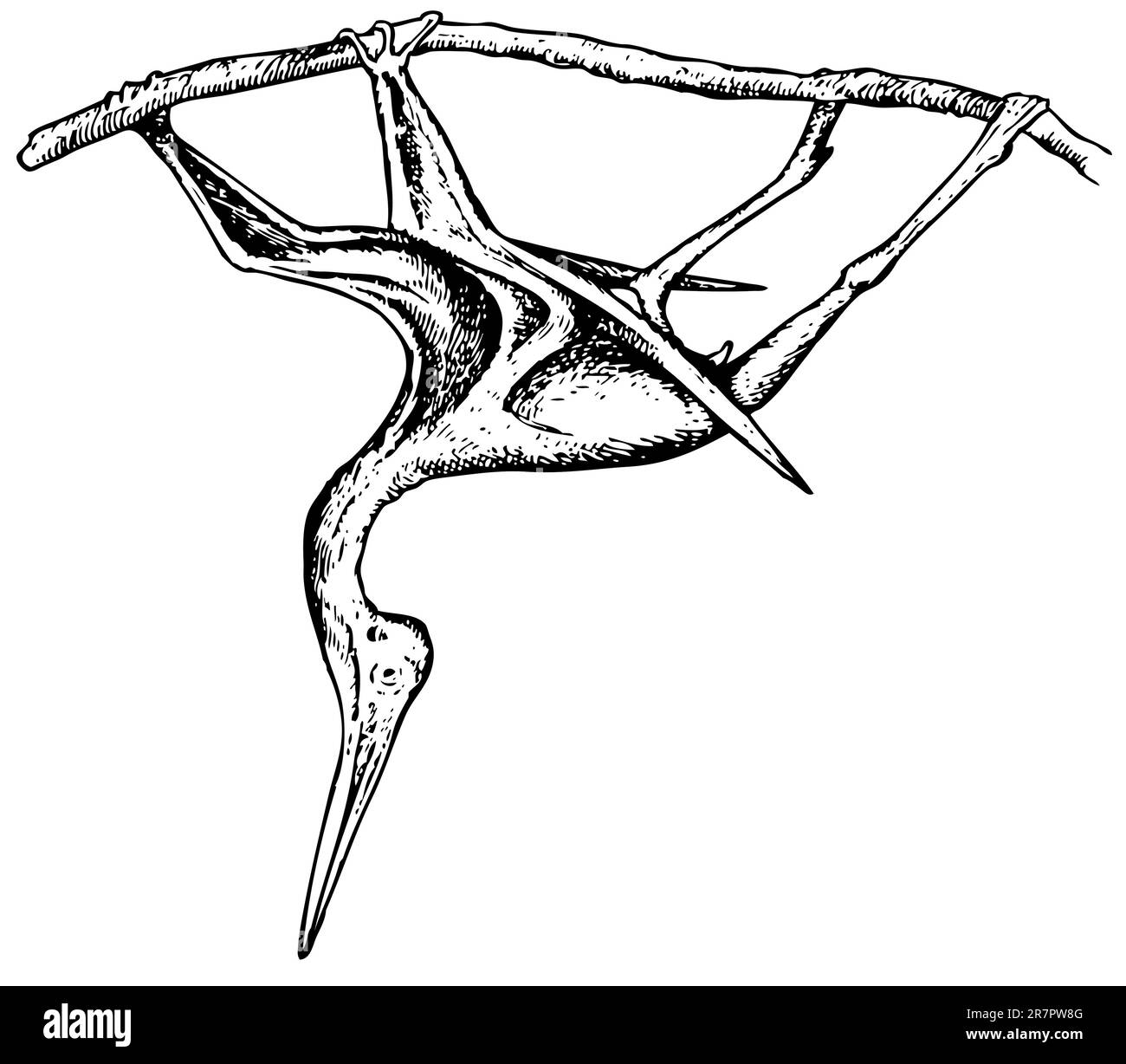 Prähistorisches fliegendes Reptil Stock Vektor