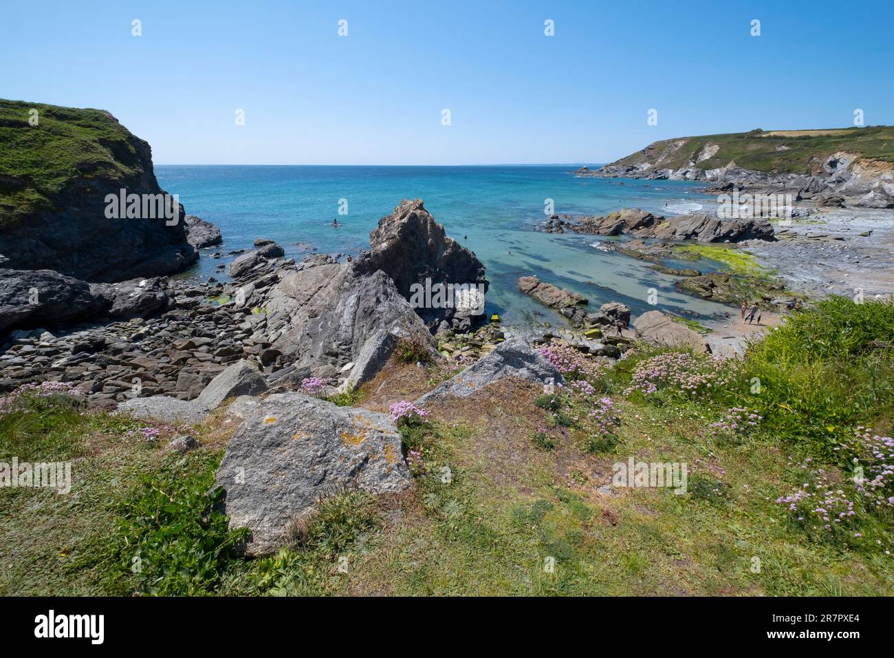 Urlauber am Strand bei Gunwalloe und Dollar Coves an der Südküste von Cornwall, England. Stockfoto