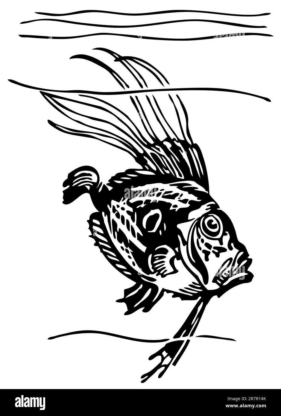 John Dorie im Wasser Stock Vektor