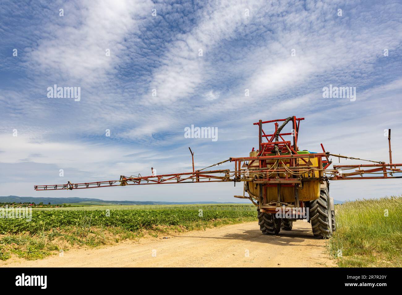 Traktor auf landwirtschaftlichem Feld, Straße zwischen Hafer- und Kartoffelfeldern Stockfoto