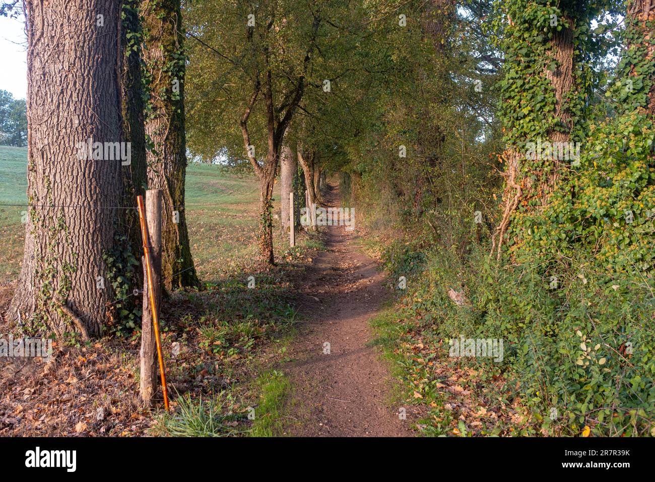 Foto des Camino de Santiago Trail in der Nähe von Figeac in Frankreich, aufgenommen an einem nebligen Herbstmorgen ohne Menschen Stockfoto