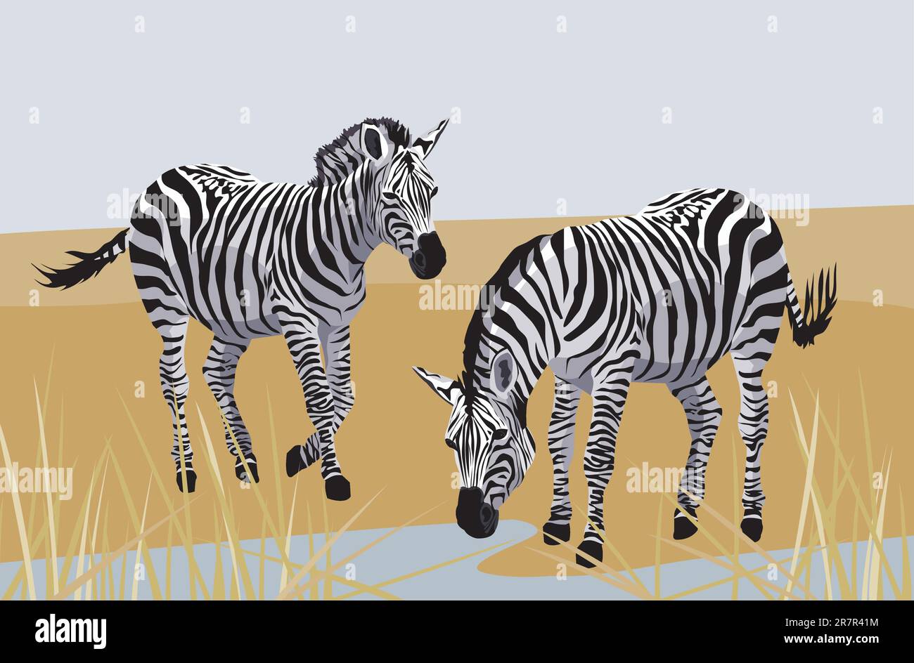 Abbildung mit Zebras in der Savanne Stock Vektor