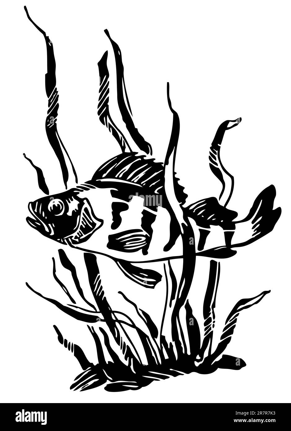 Fisch im Wasser Stock Vektor