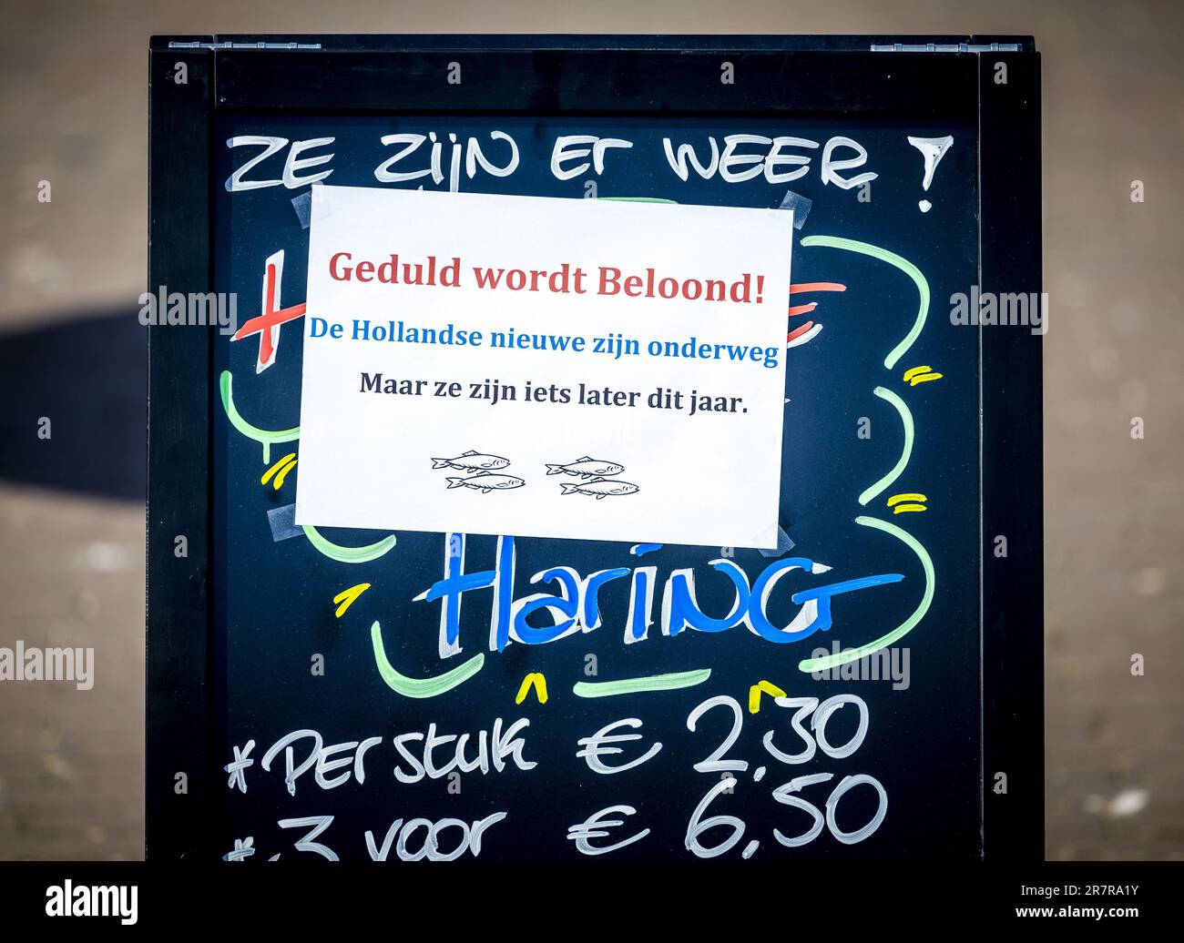 SCHEVENINGEN - ein Zeichen während Vlaggetjesdag, dem Beginn der Heringssaison. Der offizielle Beginn der Saison wurde verschoben, weil der Hering noch nicht fett genug ist, aber Vlaggetjesdag wird weitermachen. ANP REMKO DE WAAL niederlande raus - belgien raus Stockfoto