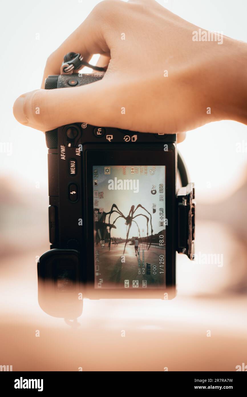 Eine Kamera, die die Welt aus einem einzigartigen Blickwinkel einfängt und mit ihrem Objektiv Momente in der Zeit einfriert, während sich die Vision des Fotografen entfaltet. Stockfoto