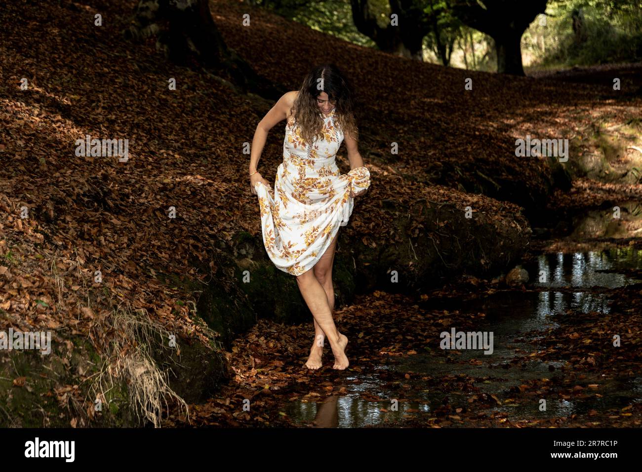 Genießen Sie die Ruhe eines Sommertages und wandern Sie barfuß durch die Buchenwälder Stockfoto