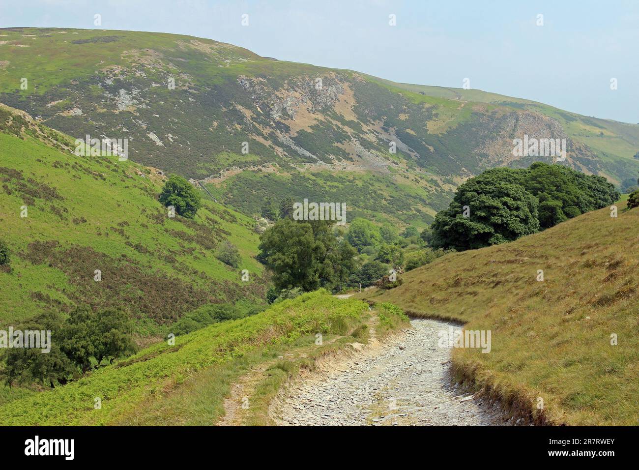 Fußweg in den Berwyns über dem Dorf Pentre Bach, Ceiriog Valley, Wales - Graig Fawr in der Ferne Stockfoto