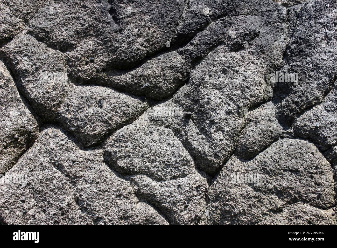 Verwitterungsmuster in Millstone Grit, RSPB Dove Stone Reserve, Peak District UK Stockfoto