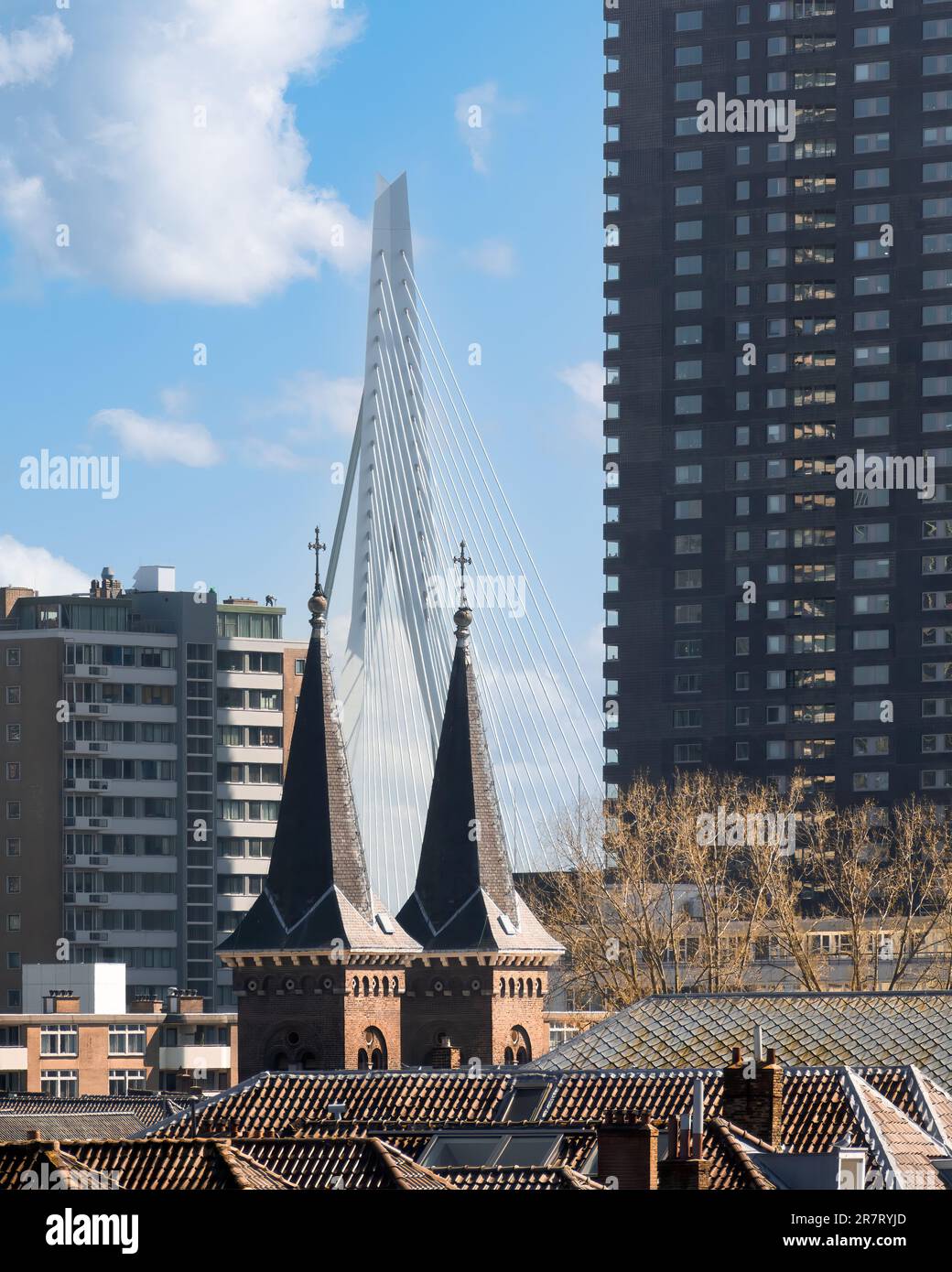 Rotterdam, Niederlande - Erasmus-Brücke von Ben van Berkel Stockfoto