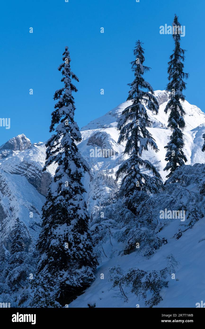 Winterlandschaft mit Blick auf die Berge am enger Grund Bach in der Nähe von eng Alm in Karwendel, Österreich Stockfoto