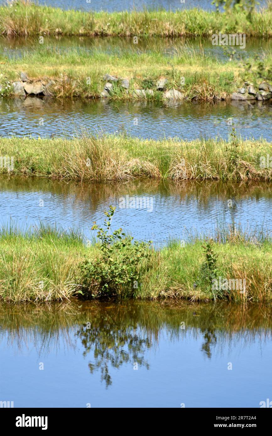 Traunbach im Hunsrueck-Hochwald-Nationalpark mit Becken für die ...