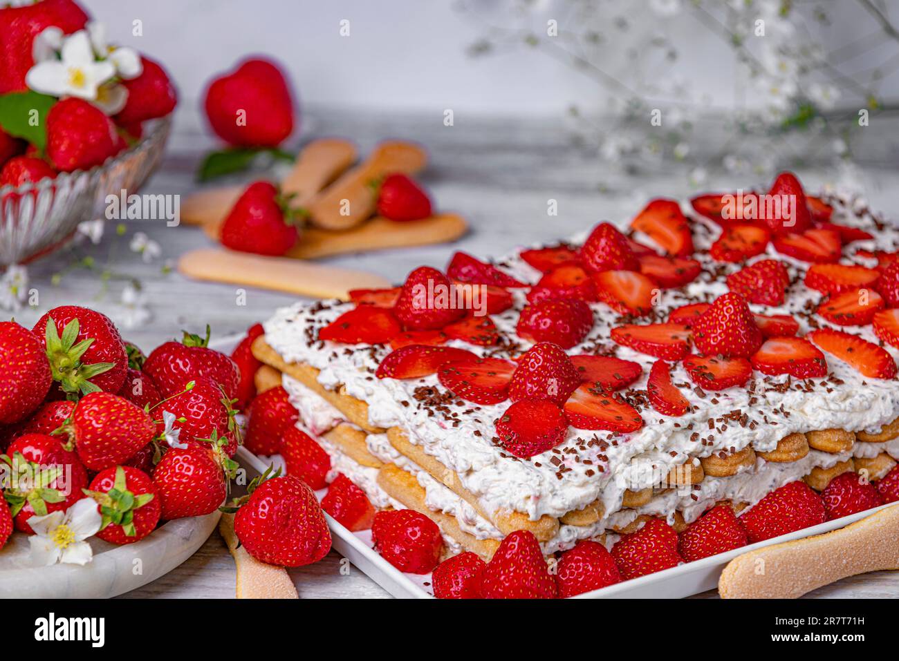 Tiramisu mit Erdbeeren, Stille, helle, Lebensmittelfotografie Stockfoto