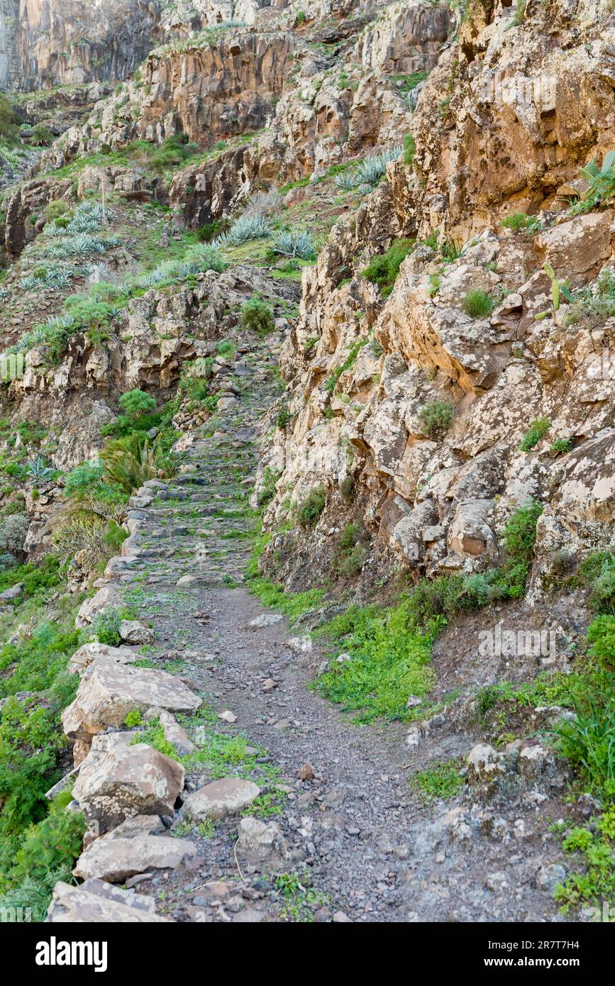 Wandern auf La Gomera. In den Bergen des Valle Gran Rey auf der Kanarischen Insel La Gomera. Der Fernweg führt zum El Cercado, einem Berg Stockfoto