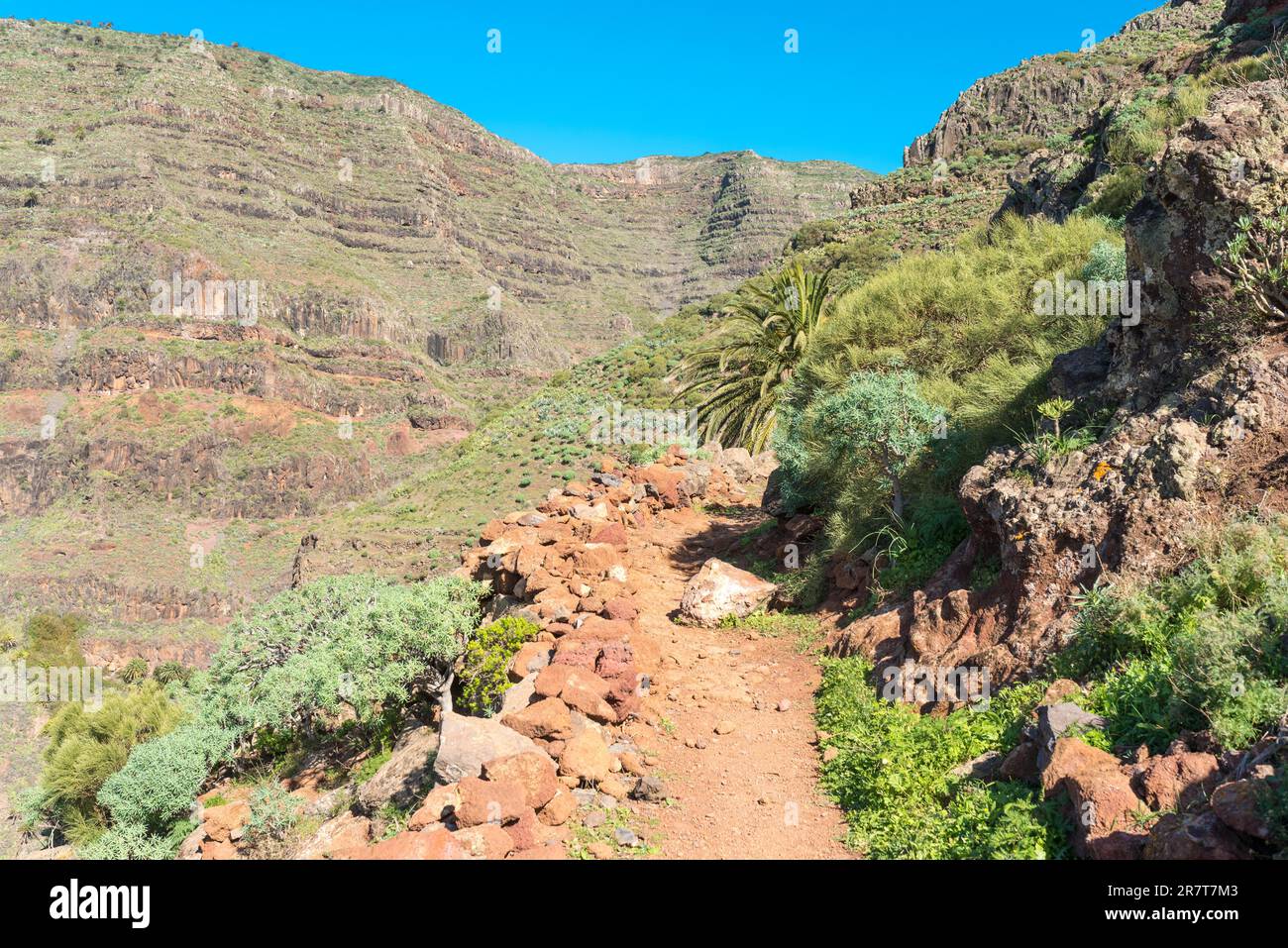 Wandern auf La Gomera. In den Bergen des Valle Gran Rey auf der Kanarischen Insel La Gomera. Der Fernweg führt zum El Cercado, einem Berg Stockfoto