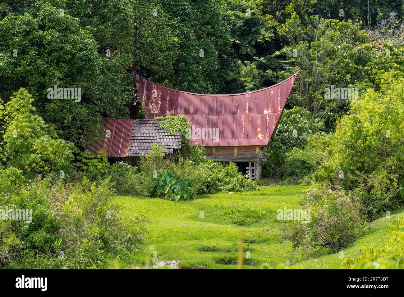 Das traditionelle Batak-Haus, das auf Indonesien als Rumah Bolon bezeichnet wird, ist bekannt für seine unverwechselbaren Dächer, die sich an jedem Ende nach oben biegen, als Bootsrumpf Stockfoto