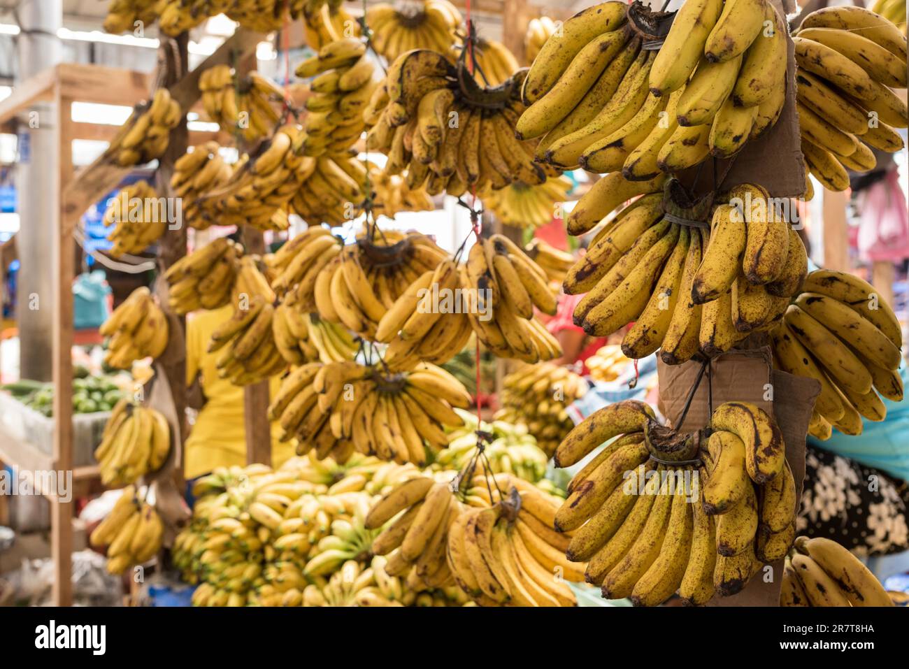 Obststand mit Bananen auf dem wöchentlichen Bauernmarkt in der Hauptstadt des Toba Batak auf der Insel Samosir, Panguran, im nördlichen Toba-See Stockfoto